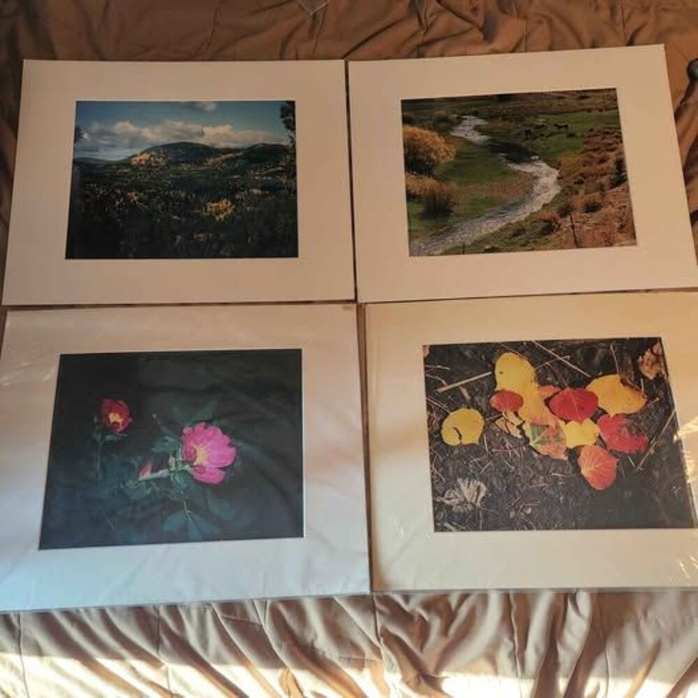 16x20 Matted Fine Art Nature Photo Prints $25 Each or All for $80 New Mexico art